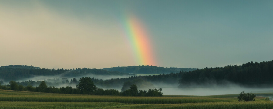 The Work-Coachausbildung Berlin