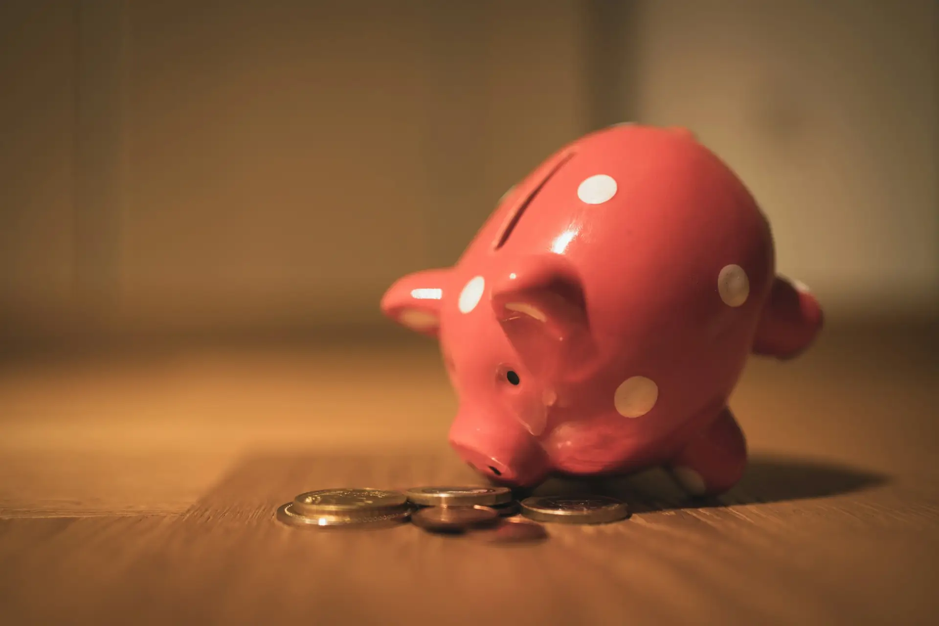 Weiterbildungsförderungen der Bildungsländer, Bildungsscheck
