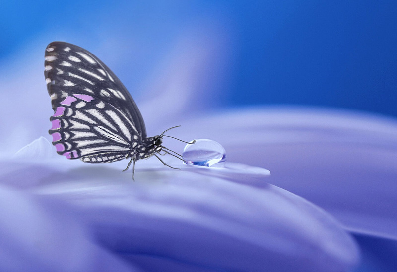 Hypnosecoaching in Berlin Hypnosecoaching in Berlin