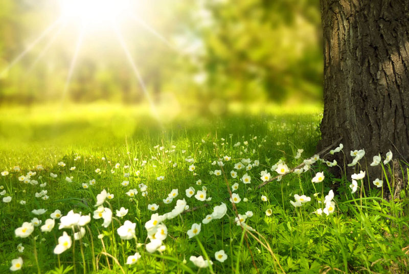 Traumatherapie in Berlin - EMDR, Brainspotting Techniken, EMI, NLP und Hypnose Traumatherapie in Berlin - EMDR, Brainspotting Techniken, EMI, NLP und Hypnose
