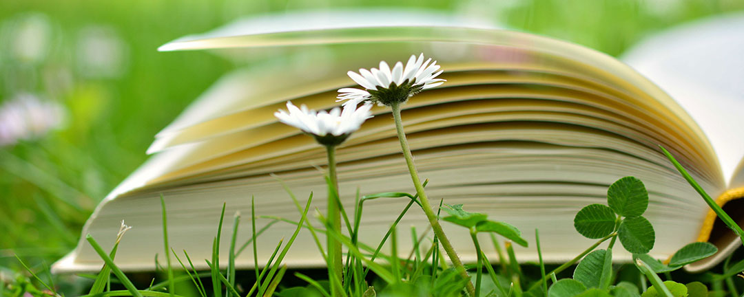 Speedreading in Berlin, schneller lesen und leichter lernen Speedreading in Berlin, schneller lesen und leichter lernen